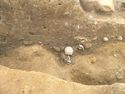 Thumbnail of Detail shot of human skull