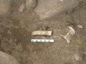 Thumbnail of Bone handle knife in situ, RF10752