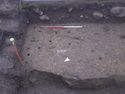 Thumbnail of Post ex of stakehole group  