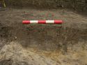 Thumbnail of section of buried soil and gully