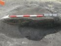 Thumbnail of section of pit 32450