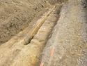 Thumbnail of buried soil