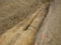 Thumbnail of buried soil