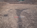 Thumbnail of Pre-excavation view of linear [F9] and adjacent features. Im scale, view from the north.