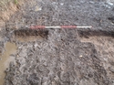 Thumbnail of Eastern edge of sample pit 1, 1m scale detailed view (north), view from the west
