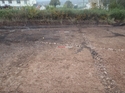 Thumbnail of Central area of the site prior to excavation of features, two 1m scales, view from the south.