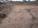 Thumbnail of Eastern edge of the site [F9] to the right and furnace bases [F14] and [F15] above the 1m scale, view from the north
