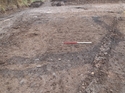 Thumbnail of Pre-excavation view of [F10] and [F11]. 1m scale, view from the west.