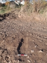Thumbnail of Post-excavation of [F16]. 0.3m scale; view from the southeast.