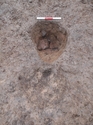 Thumbnail of [F24], post-excavation. 0.3m scale; view from the east.