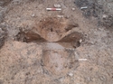 Thumbnail of [F27] post-excavation. 0.3m scale, view from the east