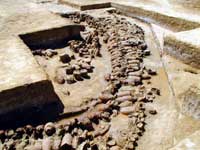 Amphoras forming a hard at Myos Hormos (Quseir al-Qadim)
