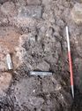 Thumbnail of <em>NE-facing view of cobbles (641)</em> <br  />(FEN15_30.jpg)