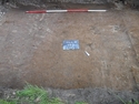 Thumbnail of North-East facing photograph depicting the pre-excavation of a possible linear feature [105] taken during archaeological evaluations at Milken Lane, Ashover, Derbyshire (2m scale)