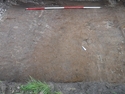 Thumbnail of North-East facing photograph depicting the pre-excavation of a possible linear feature [105] taken during archaeological evaluations at Milken Lane, Ashover, Derbyshire (2m scale)