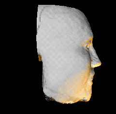 IMAGE: 151×151 co-ordinate VRML image of an archaeological facial reconstruction with a point light source added