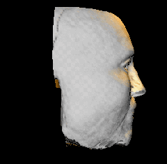 IMAGE: 151×151 co-ordinate VRML image of an archaeological facial reconstruction with the point light source in a different position