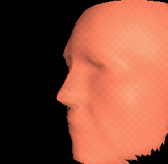 IMAGE: Using the coordinateInterpolator node of VRML to morph between 'thin' and 'fat' reconstructions
