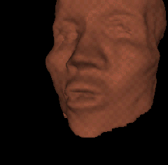 IMAGE: Using the coordinateInterpolator and colorInterpolator nodes of VRML to morph between 'black' and 'white' reconstructions