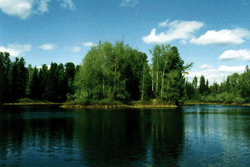 IMAGE: Siberian taiga landscape