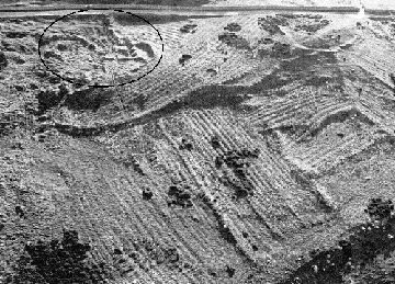 IMAGE: Ffynnon Rufeinig from the air. The area within which excavations were carried out in
1996 is circled. North is at the bottom of the photograph (RCAHMW, AP no. CN 132,
5/03/86)