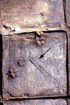 LARGER IMAGE