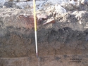 Thumbnail of Trench 1 Sample Section; N facing