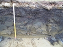 Thumbnail of Section of Trench 4 from SE End to NW End; NE facing