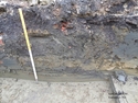 Thumbnail of Trench 4 Section; NE facing
