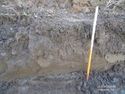 Thumbnail of Section Trench 3 NW End; SW facing