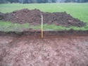 Thumbnail of Section (S Facing) Trench 1, View N