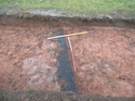 Thumbnail of Plan view Trench 4, View W