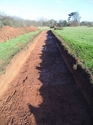 Thumbnail of Plan view Trench 7, View N
