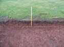 Thumbnail of SE facing section Trench 8, View NW