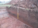 Thumbnail of Section view (W facing section), View E
