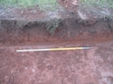 Thumbnail of Sample section Trench 3, View W