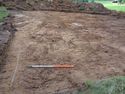 Thumbnail of Plan shots of Trench 1; view W