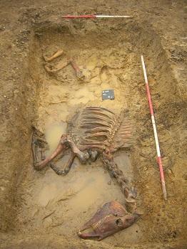 Land at Spicers, Mill Lane, Sawston, Cambridgeshire. Archaeological Excavation