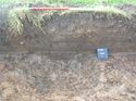 Thumbnail of Trench 30, 30004, looking S