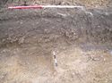 Thumbnail of Trench 76, 76008 sectioned, looking E