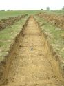 Thumbnail of Trench 23, looking W