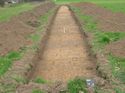 Thumbnail of Trench 52, looking N