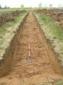 Thumbnail of Trench 24, looking NW