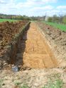 Thumbnail of Trench 41, looking W