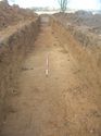 Thumbnail of Trench 10, pre-excavation, looking NW
