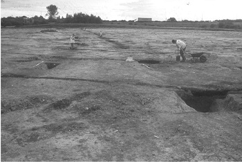 Catesby Business Park, Balby Carr, Doncaster, South Yorkshire. Archaeological Excavation