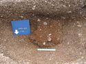 Thumbnail of Excavated pit, showing context 1195