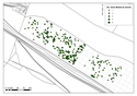 Thumbnail of Early Medival fieldwalking distribution