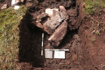 Whitehorse Cist, Dartmoor Forest, Devon: Excavation (OASIS ID: cornwall2-107036)