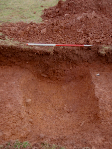 Image from Land off New Road, Teignmouth, Devon: Archaeological Evaluation (OASIS ID:  cotswold2-124259)